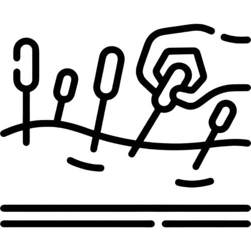 Acupuntura